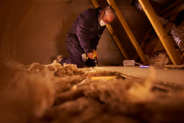 Best Eco-Friendly Insulation in Cuyahoga Falls, OH